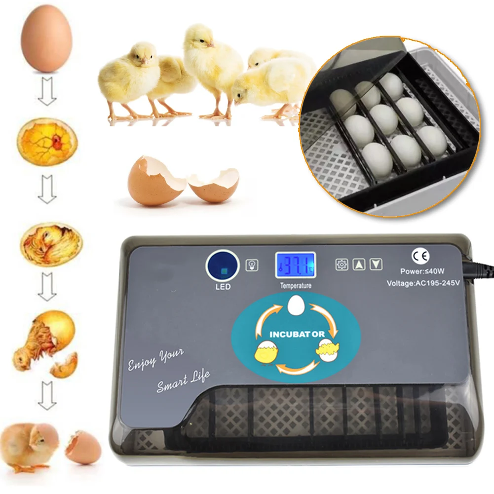 7/12 Eggs Incubator Smart Digital Egg Hatcher Household Intelligent Egg Incubators For Poultry Quail Chicken Duck Goose EU
7/12 Eggs Incubator Smart Digital Egg Hatcher Household Intelligent Egg Incubators For Poultry Quail Chicken Duck Goose EU