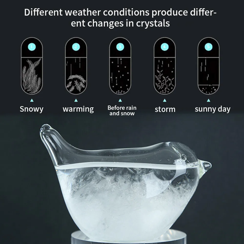Desktop Stylish Crystal Weather Forecast Bottle Storm Glass Bottle Mini Bird Weather Predictor Monitor Barometer Valentine Gifts
Desktop Stylish Crystal Weather Forecast Bottle Storm Glass Bottle Mini Bird Weather Predictor Monitor Barometer Valentine Gifts