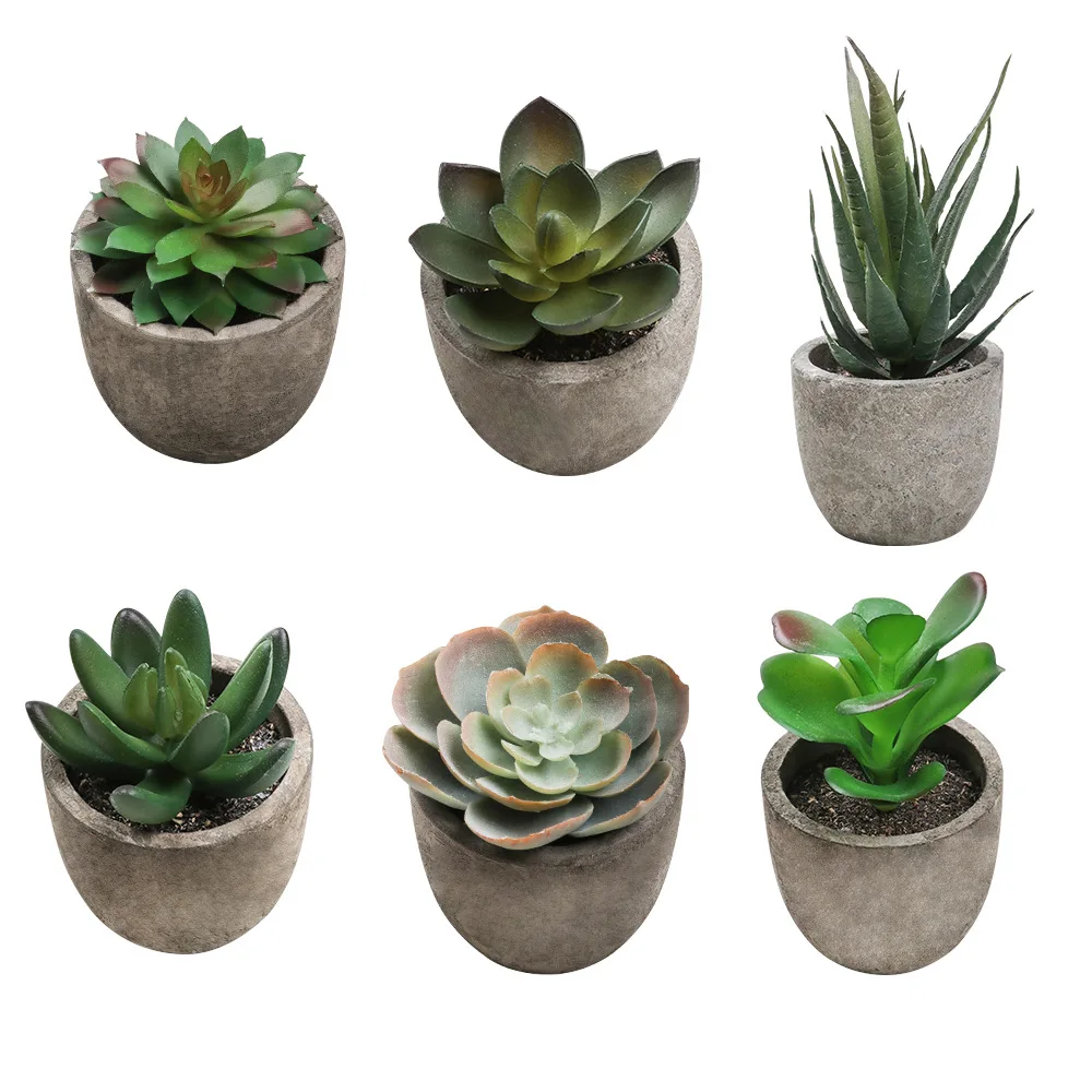 1/3/6pcs Plastic Mini Artificial Bonsai Artificial Succulent Plants Fake Simulation Decorative Ball Plants for Office Home Decor
1/3/6pcs Plastic Mini Artificial Bonsai Artificial Succulent Plants Fake Simulation Decorative Ball Plants for Office Home Decor