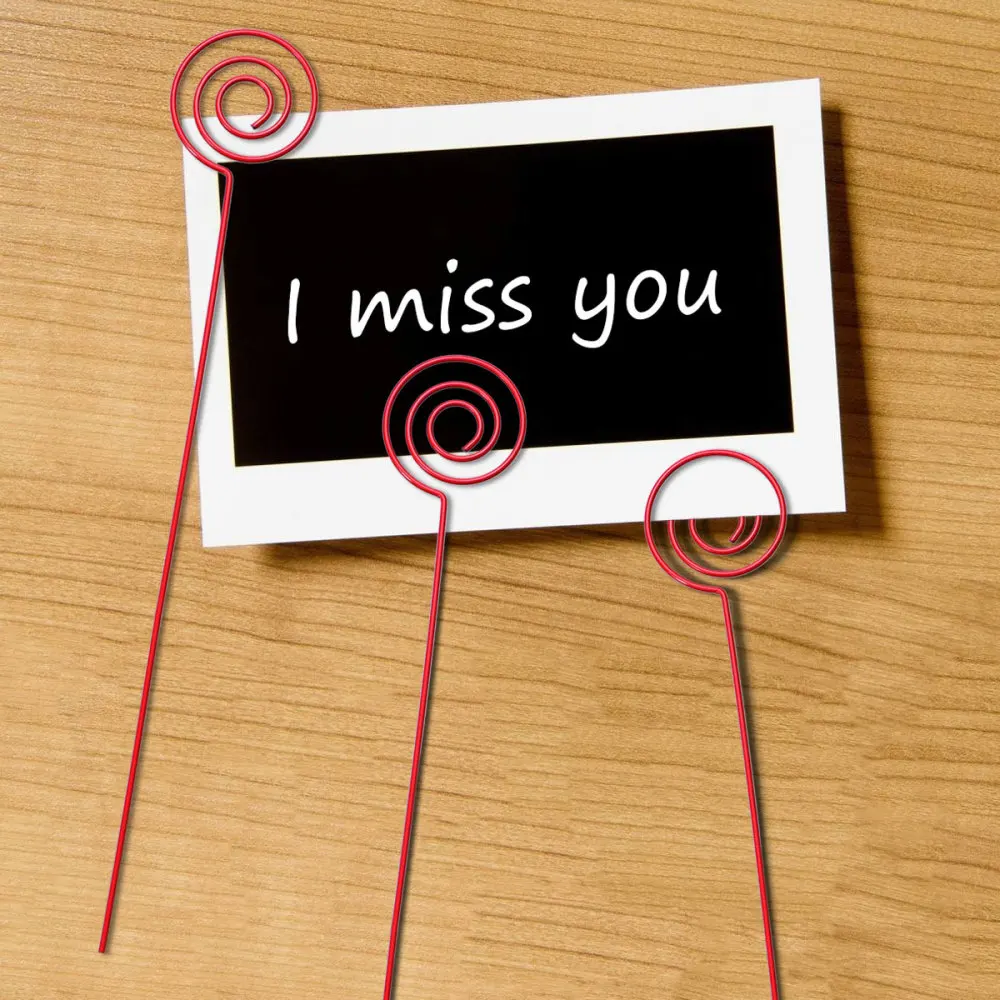 10 Pcs DIY Metal Photo Clip Holders Circle Shape Table Holders Decorative Picture Stand for Home Office Shop - 1.2x200mm (
10 Pcs DIY Metal Photo Clip Holders Circle Shape Table Holders Decorative Picture Stand for Home Office Shop - 1.2x200mm (