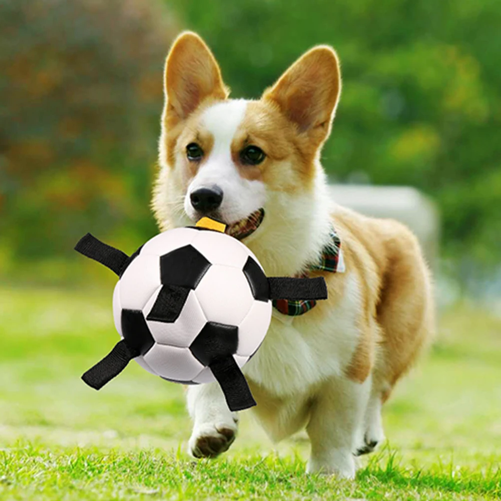 Dog Interactive Rope Easy Grab Soccer Ball Dog Toy Outdoor Water Sports Traning Bite Floating Football With Straps Durable
Dog Interactive Rope Easy Grab Soccer Ball Dog Toy Outdoor Water Sports Traning Bite Floating Football With Straps Durable