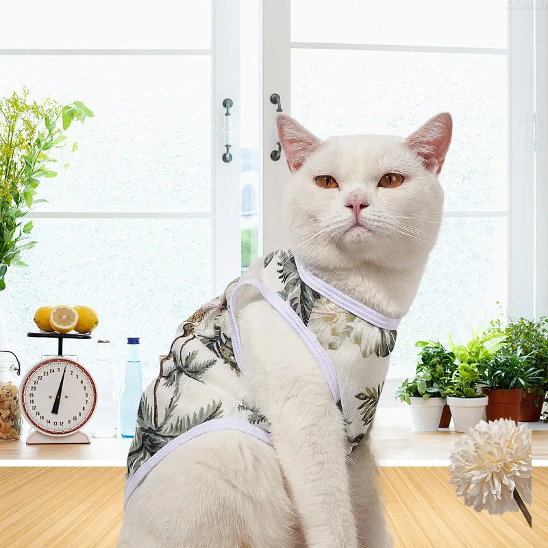 The new spring, summer and autumn thin dog vest, Teddy Bichon Hiromi French fighting cat, small and medium-sized dog pet clothes
The new spring, summer and autumn thin dog vest, Teddy Bichon Hiromi French fighting cat, small and medium-sized dog pet clothes