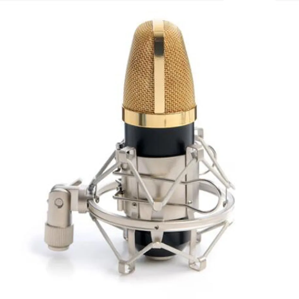 Universal Studio Condenser Microphone Stand Metal Shock Mount Holder 5.0cm For 45-55mm Diameter Mic Radio Broadcasting Studio
Universal Studio Condenser Microphone Stand Metal Shock Mount Holder 5.0cm For 45-55mm Diameter Mic Radio Broadcasting Studio