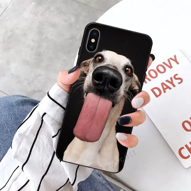 I Love My Whippet dog high quality luxury Phone Case shell for iPhone 11 12 pro XS MAX 8 7 6 6S Plus X 5S SE 2020 XR 
I Love My Whippet dog high quality luxury Phone Case shell for iPhone 11 12 pro XS MAX 8 7 6 6S Plus X 5S SE 2020 XR