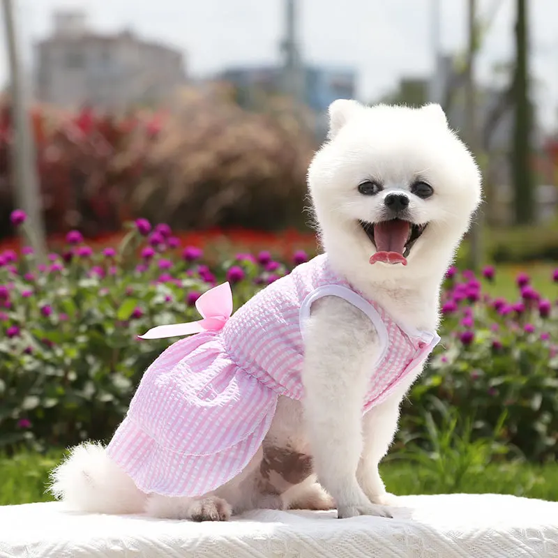 Spring And Summer New Pet Cute Lattice Clothes Puppy Clothes Princess Small Dog Teddy Pet Cat Vest Skirt Puppy Pet Clothing
Spring And Summer New Pet Cute Lattice Clothes Puppy Clothes Princess Small Dog Teddy Pet Cat Vest Skirt Puppy Pet Clothing