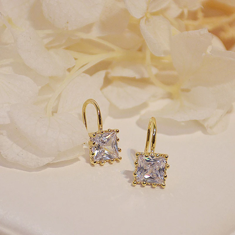 Exquisite Square Shiny Zircon Earrings for Women Designer Creativity Luxury Jewelry High Quality Accessories Wedding Party Gift
Exquisite Square Shiny Zircon Earrings for Women Designer Creativity Luxury Jewelry High Quality Accessories Wedding Party Gift
