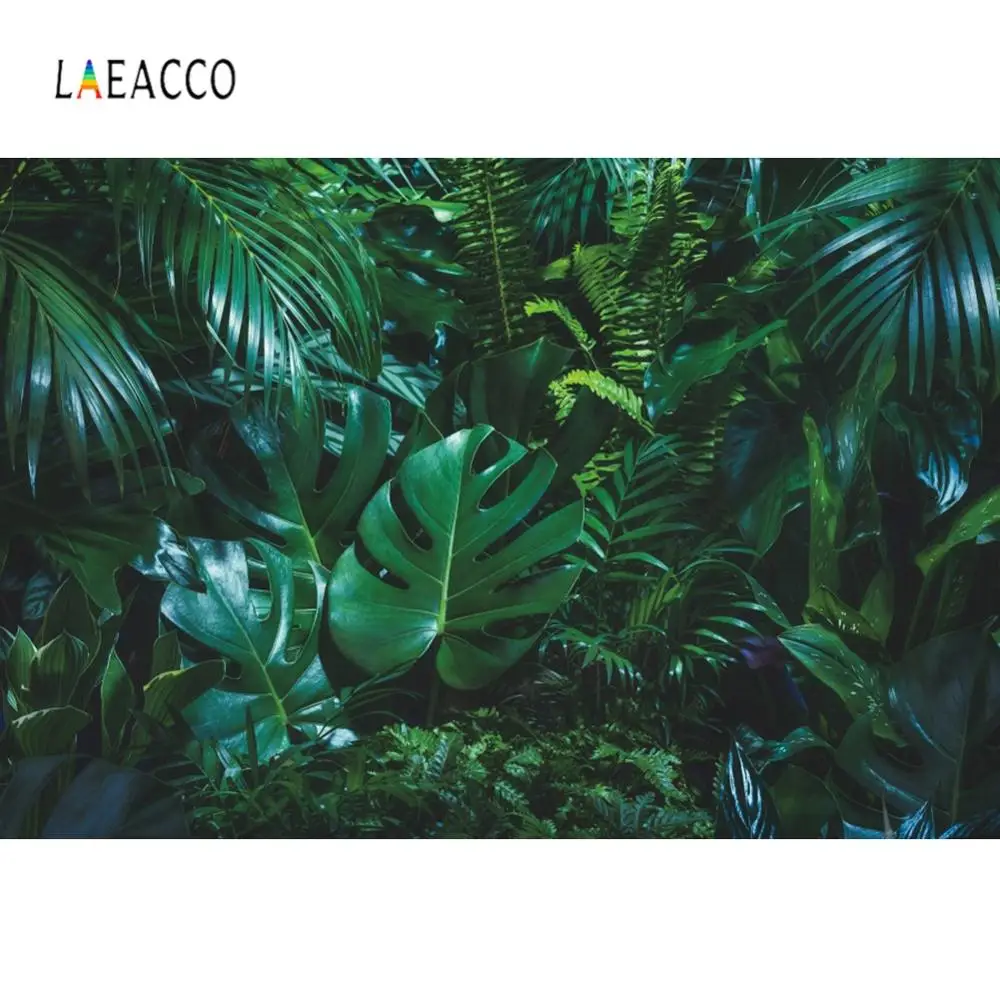 Laeacco Tropical Photophone Spring Summer Photo Background Photography Backdrop Baby Green Grass Party Decor Photocall Photozone
Laeacco Tropical Photophone Spring Summer Photo Background Photography Backdrop Baby Green Grass Party Decor Photocall Photozone