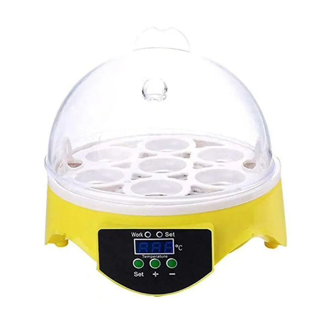 7 Eggs Incubator Bird Egg Incubator Semi-automatic Miniature Egg Incubator Pigeon Household Incubators
7 Eggs Incubator Bird Egg Incubator Semi-automatic Miniature Egg Incubator Pigeon Household Incubators