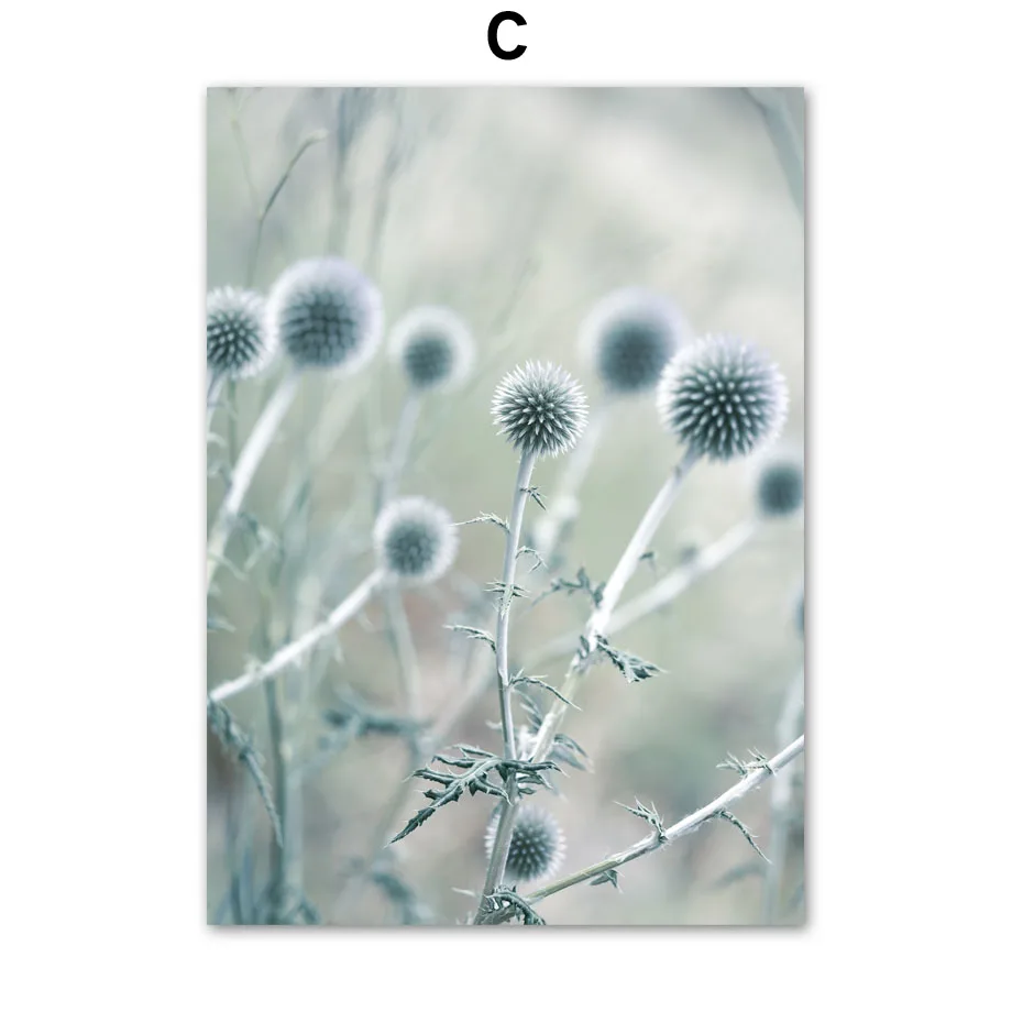 Bloom Flower Poppies Misty Palm Leaf Nordic Poster Natural Wall Art Print Canvas Painting Plant Decor Pictures For Living Room
Bloom Flower Poppies Misty Palm Leaf Nordic Poster Natural Wall Art Print Canvas Painting Plant Decor Pictures For Living Room