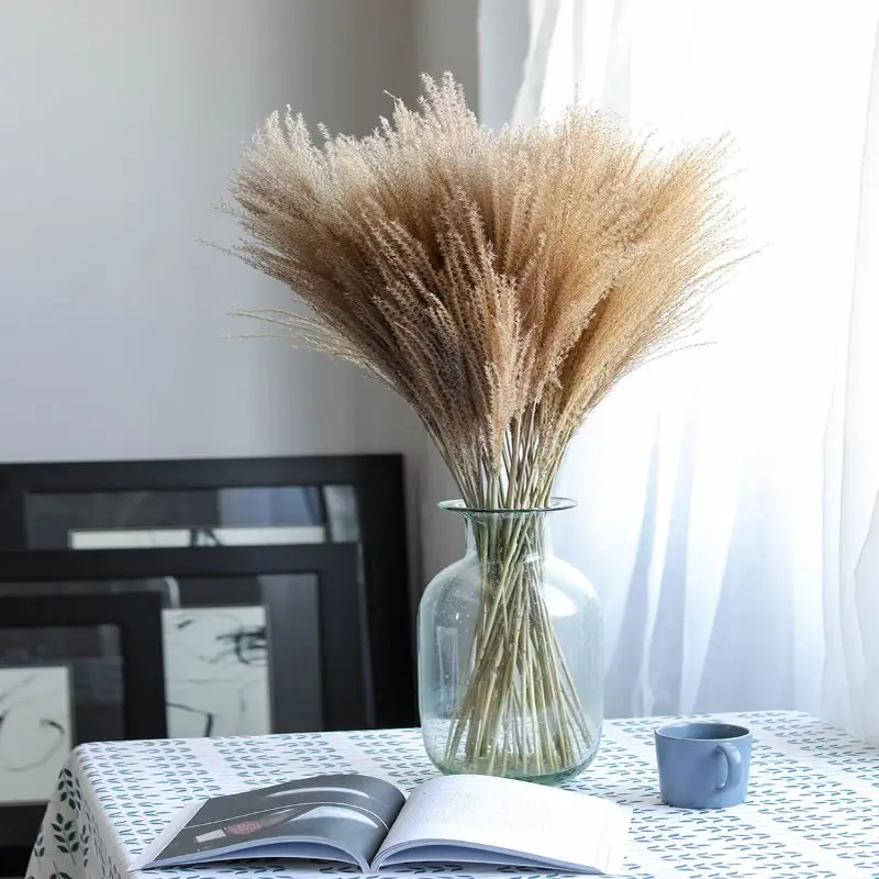 10pcs Séchée Plantas Flores Artificiales Para Decoracion Fleur De Pampas Grass Dried Flowers Decorativas Salon Bedroom Garden
10pcs Séchée Plantas Flores Artificiales Para Decoracion Fleur De Pampas Grass Dried Flowers Decorativas Salon Bedroom Garden