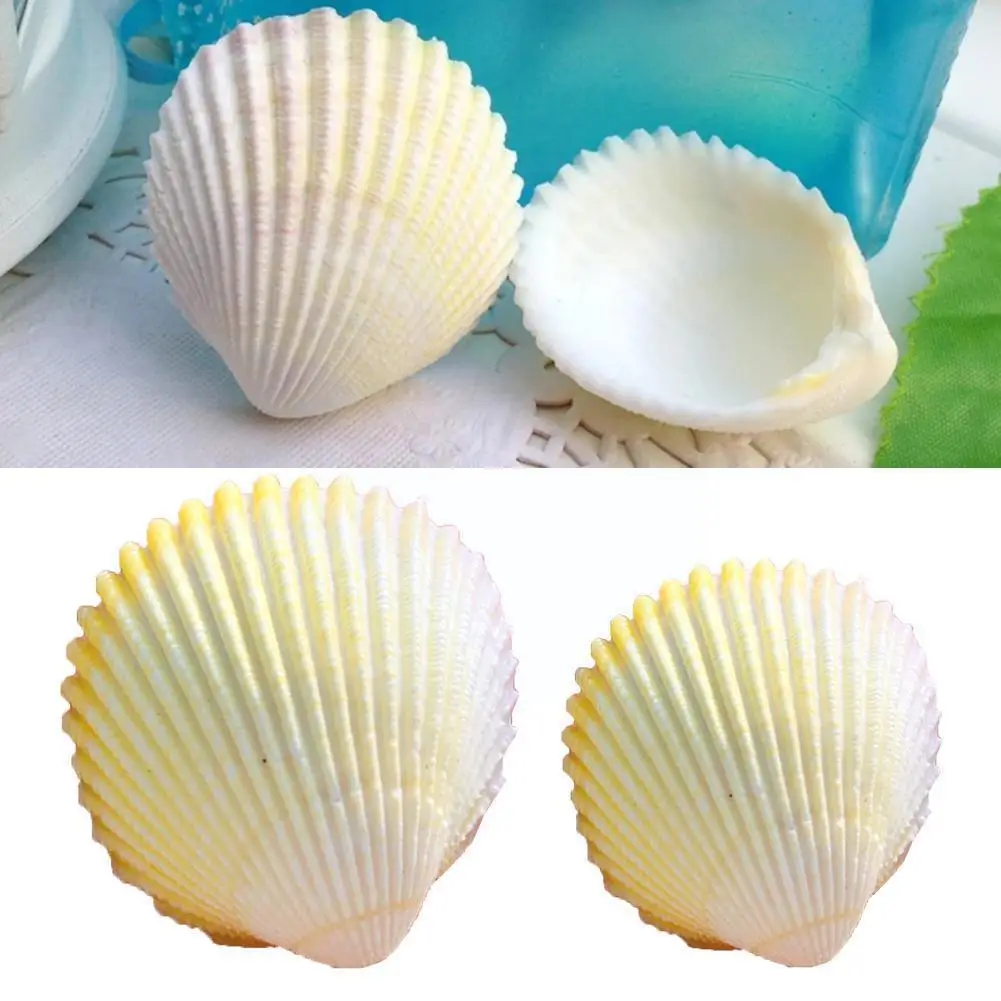 Natural Coconut Ocean Seas Wedding Decor Seas Decorations Beach Fish Sea Theme Home Party, R4g3
Natural Coconut Ocean Seas Wedding Decor Seas Decorations Beach Fish Sea Theme Home Party, R4g3