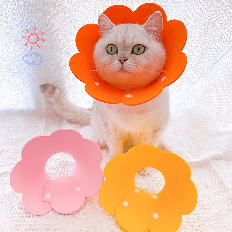 Sunflower Shaped Cat Recovery Collar Elizabethan Collar Wound Healing Protective Cone for Kitten Puppy
Sunflower Shaped Cat Recovery Collar Elizabethan Collar Wound Healing Protective Cone for Kitten Puppy