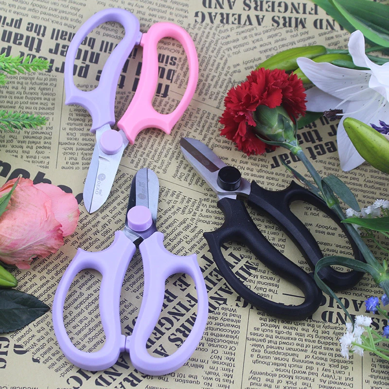 Round-Headed Floral Pruning Shears Flower Shop Trainers Flower Arrangement Shears Bypass Sharpener Clippers Garden Tool
Round-Headed Floral Pruning Shears Flower Shop Trainers Flower Arrangement Shears Bypass Sharpener Clippers Garden Tool