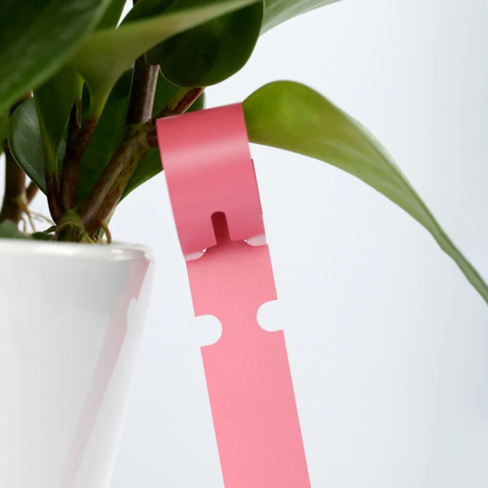 Plant Labels Marker Plant Lableplant Markers For Garden Ring Plant Tag 2x20cm Waterproof Reusable Prompt Classification Tool
Plant Labels Marker Plant Lableplant Markers For Garden Ring Plant Tag 2x20cm Waterproof Reusable Prompt Classification Tool