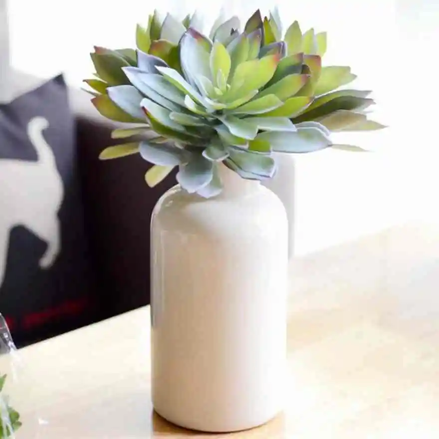 Большого размера Furong Lotus вечерние Nodic для дома, отеля, настольное украшение, фоторастения, суккулентные растения 
Большого размера Furong Lotus вечерние Nodic для дома, отеля, настольное украшение, фоторастения, суккулентные растения