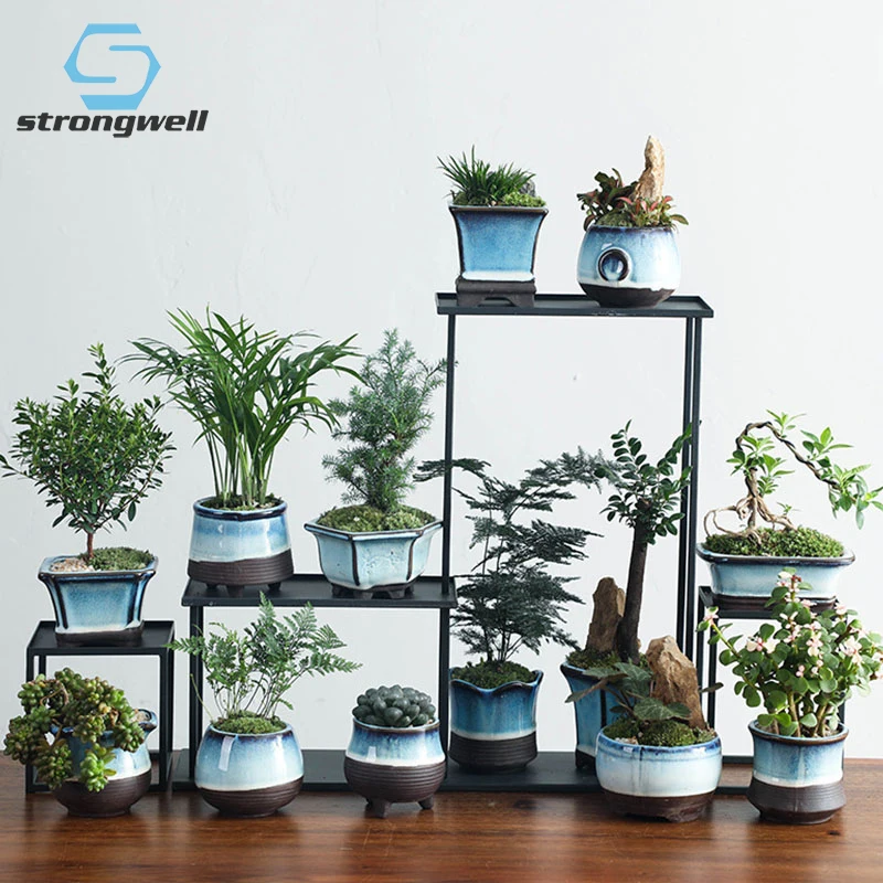 Домашний сад Strongwell, цветочный горшок, керамический горшок, глазурованный горшок, суккуленты, цветочные горшки, сказочное украшение для сада 
Домашний сад Strongwell, цветочный горшок, керамический горшок, глазурованный горшок, суккуленты, цветочные горшки, сказочное украшение для сада