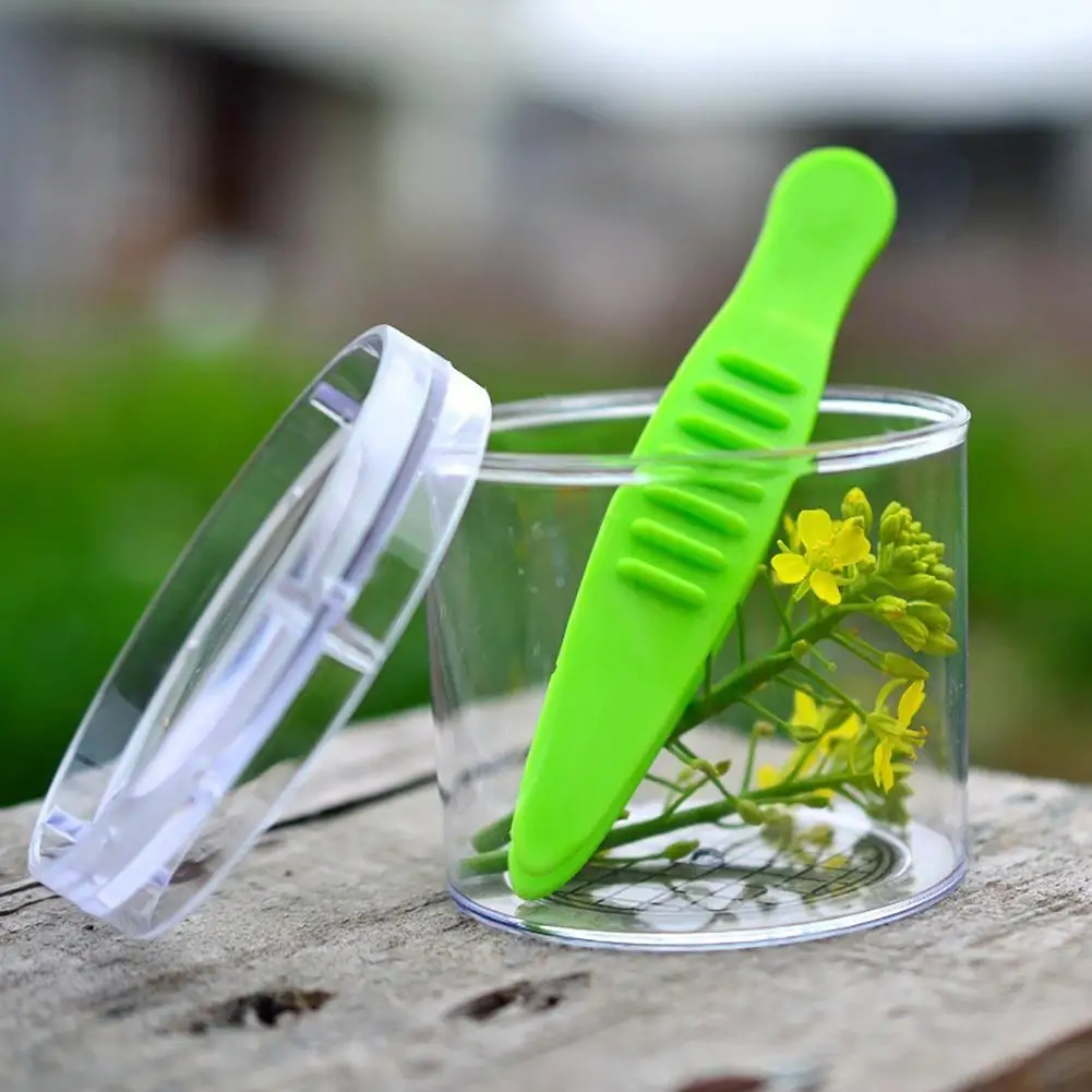 2Pcs/Set Plastic Bug Insect Catcher Scissors Tongs Tweezers Set Clamp Portable Insect Cleaning Tool Kids Boy Girl Toys
2Pcs/Set Plastic Bug Insect Catcher Scissors Tongs Tweezers Set Clamp Portable Insect Cleaning Tool Kids Boy Girl Toys