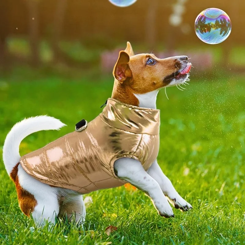 Small Medium Dog Jacket Vest Clothes Bright Waterproof Dog Coat with Traction Buckle Outdoor Dog Jacket Pet Supplies ropa perro
Small Medium Dog Jacket Vest Clothes Bright Waterproof Dog Coat with Traction Buckle Outdoor Dog Jacket Pet Supplies ropa perro