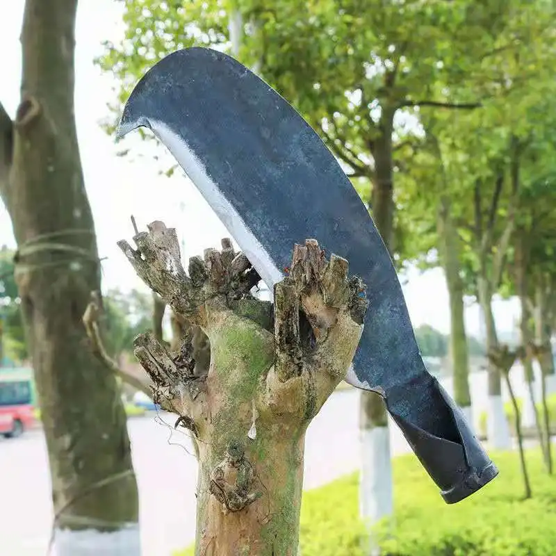 Hand forged sickle agricultural tree cutter old-fashioned bamboo wood chopping wood chopping wood outdoor jungle opening knife
Hand forged sickle agricultural tree cutter old-fashioned bamboo wood chopping wood chopping wood outdoor jungle opening knife