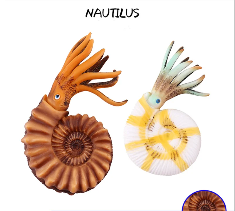 Игрушечная фигурка из перламутровой натуральной перламутровой природы, коллекционная игрушка, модель, подарок для детей, домашний декор, ф...
Игрушечная фигурка из перламутровой натуральной перламутровой природы, коллекционная игрушка, модель, подарок для детей, домашний декор, ф...