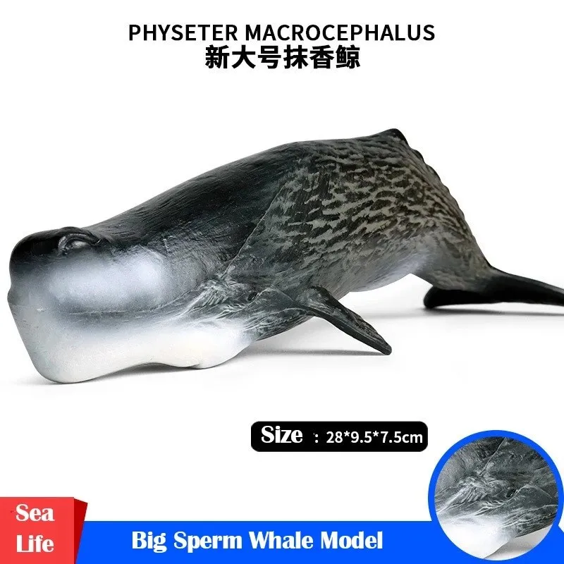 Sea Life Big Sperm Whale Simulation Animals Collection Model ABS Plastic Hand Model Series Christmas Toys Gift for Children Kids
Sea Life Big Sperm Whale Simulation Animals Collection Model ABS Plastic Hand Model Series Christmas Toys Gift for Children Kids