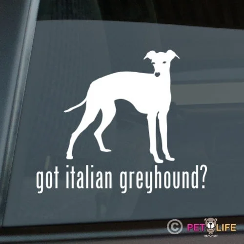 Got Italian Greyhound Sticker Die Cut Vinyl - iggy ig window decal | Stickers