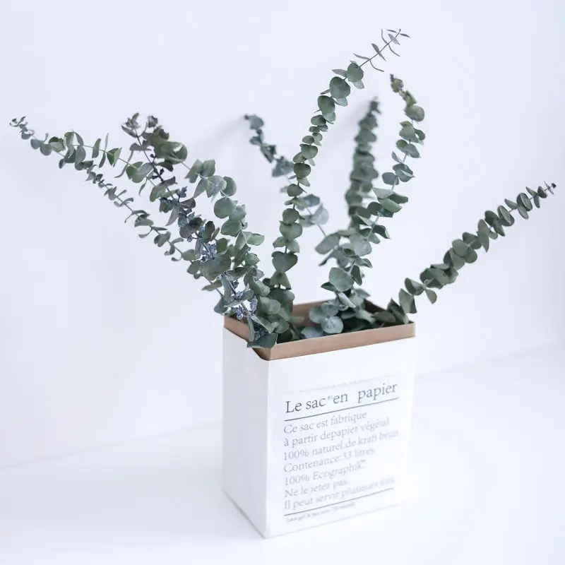 8 To 10Pcs Natural Eucalyptus Leaves Dried Flower Real Plant Branches Stems Party Decoration Home Wall Decor Office Accessories
8 To 10Pcs Natural Eucalyptus Leaves Dried Flower Real Plant Branches Stems Party Decoration Home Wall Decor Office Accessories