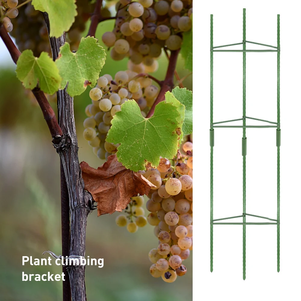 Practical Assembled Garden Plant Support Stakes Multi-functional Durable Cage with 3pcs Clips for Vertical Climbing Plants
Practical Assembled Garden Plant Support Stakes Multi-functional Durable Cage with 3pcs Clips for Vertical Climbing Plants