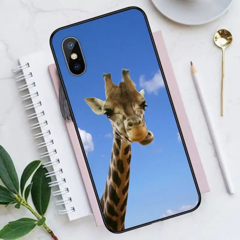 Zebra Giraffe cute animal Phone Case for iPhone 11 12 pro XS MAX 8 7 6 6S Plus X 5S SE 2020 XR Luxury brand shell funda coque
Zebra Giraffe cute animal Phone Case for iPhone 11 12 pro XS MAX 8 7 6 6S Plus X 5S SE 2020 XR Luxury brand shell funda coque