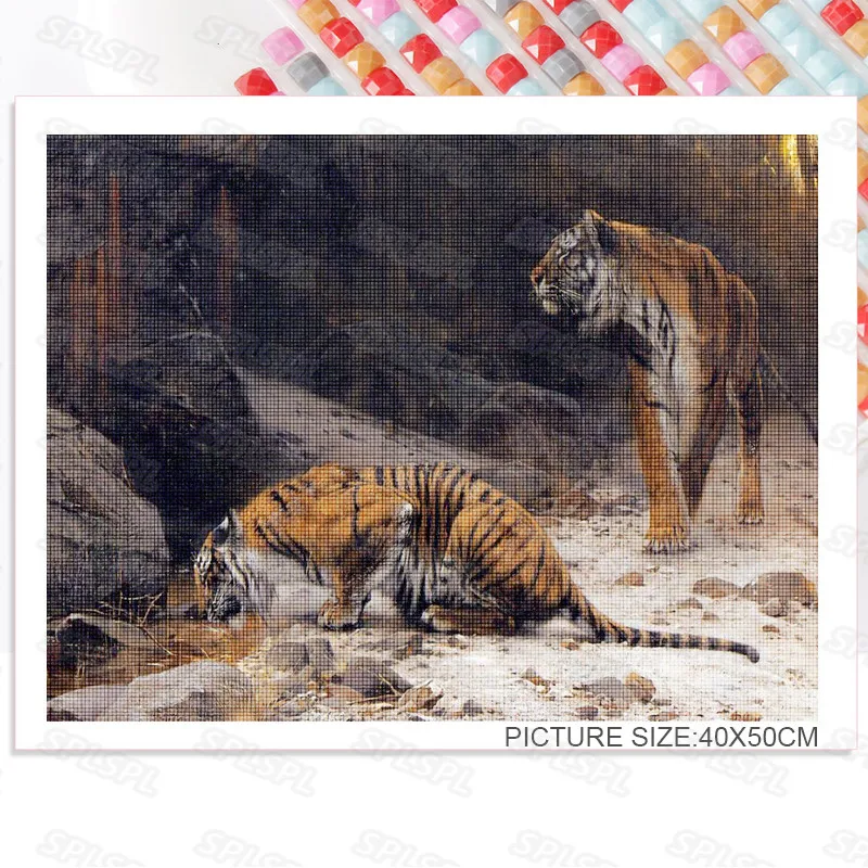 Diy Diamond Painting Ferocious Mountain Beasts Carnivore Wild Big Tiger Siberian Tiger Tiger In The Forest Poster Painting
Diy Diamond Painting Ferocious Mountain Beasts Carnivore Wild Big Tiger Siberian Tiger Tiger In The Forest Poster Painting