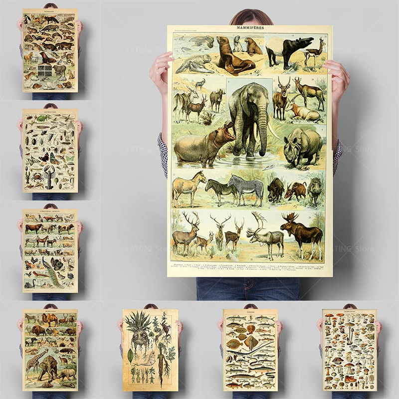 Vintage Vegetables Fruits Animals Canvas Painting Nordic Wall Art Posters and Prints Home Living Room Decoration Accessories
Vintage Vegetables Fruits Animals Canvas Painting Nordic Wall Art Posters and Prints Home Living Room Decoration Accessories