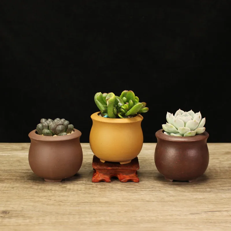 Mini Purple Clay Flower Pot Thumb Succulent Micro Potted Plants Exquisite Home Balcony Desktop Decoration
Mini Purple Clay Flower Pot Thumb Succulent Micro Potted Plants Exquisite Home Balcony Desktop Decoration