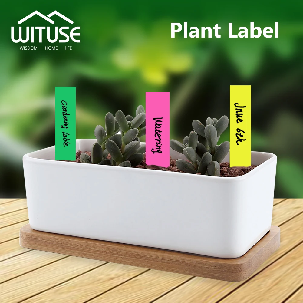 100pcs Waterproof Gardening Plant Tags Flower Vegetable Planting Label Tool Farm Garden Tray Mark Tool with a Pen
100pcs Waterproof Gardening Plant Tags Flower Vegetable Planting Label Tool Farm Garden Tray Mark Tool with a Pen