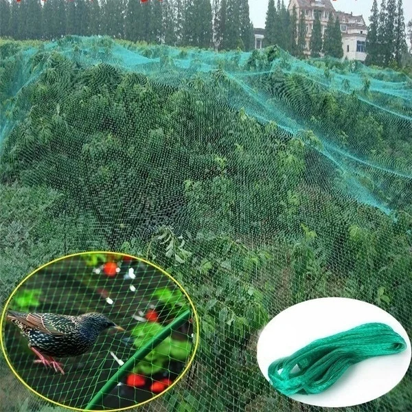 2m / 4mx10m Anti Bird Protect Tree Net Fruit Crop Plant Garden Pond Netting Mesh
2m / 4mx10m Anti Bird Protect Tree Net Fruit Crop Plant Garden Pond Netting Mesh