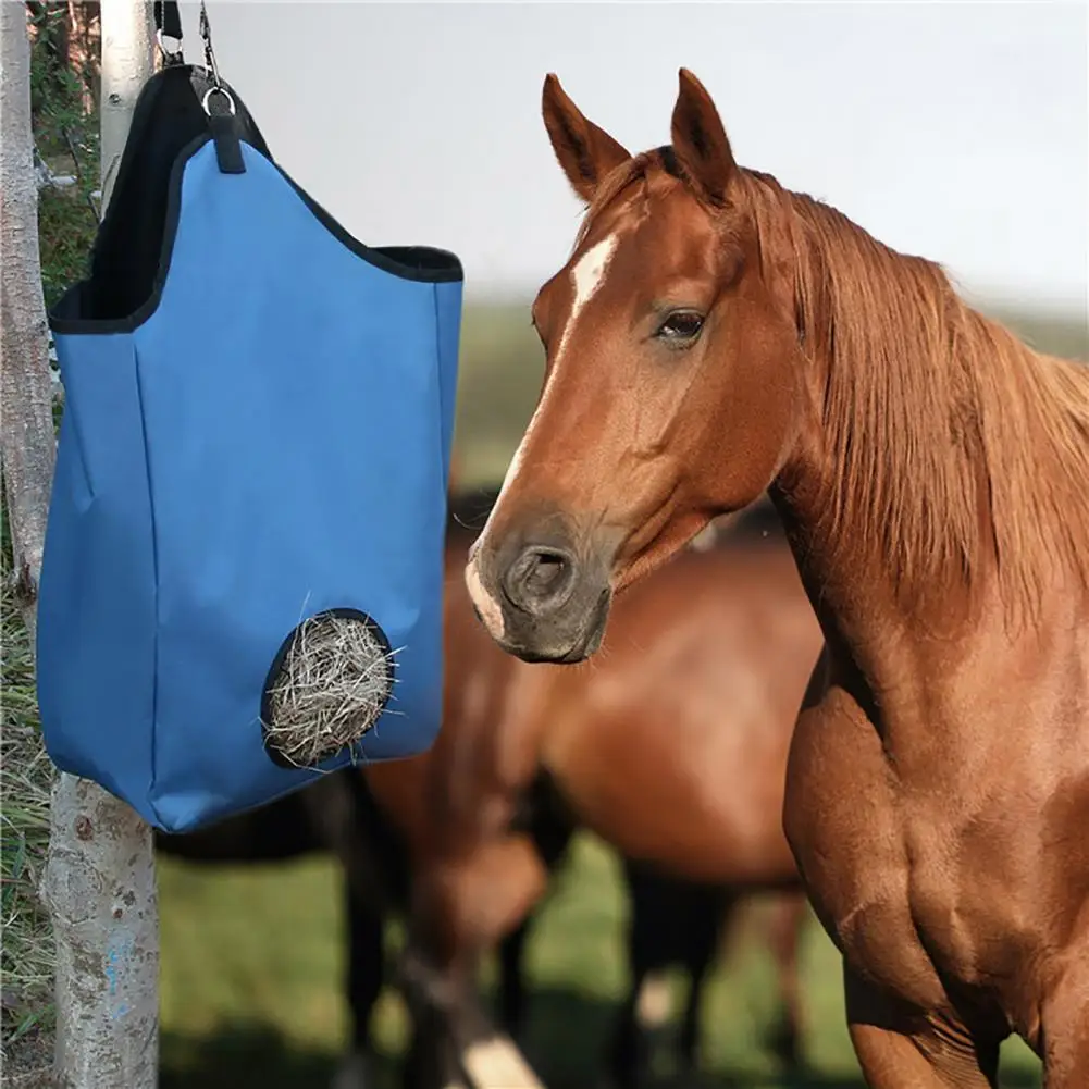 Dry Straw Bag Large Capacity Double Layer Waterproof Oxford Cloth Horse Feeding Pouch for Racecourse
Dry Straw Bag Large Capacity Double Layer Waterproof Oxford Cloth Horse Feeding Pouch for Racecourse