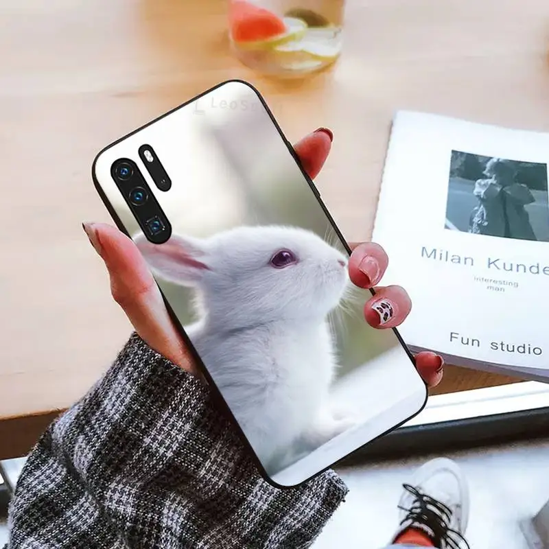 Cute rabbit Phone Case For Huawei honor Mate P 9 10 20 30 40 Pro 10i 7 8 a x Lite nova 5t
Cute rabbit Phone Case For Huawei honor Mate P 9 10 20 30 40 Pro 10i 7 8 a x Lite nova 5t