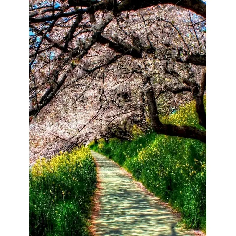 GATYZTORY Frame Forest Path DIY Painting By Number Modern Wall Art Picture By Number Acrylic Canvas By Numbers For Home Decors
GATYZTORY Frame Forest Path DIY Painting By Number Modern Wall Art Picture By Number Acrylic Canvas By Numbers For Home Decors