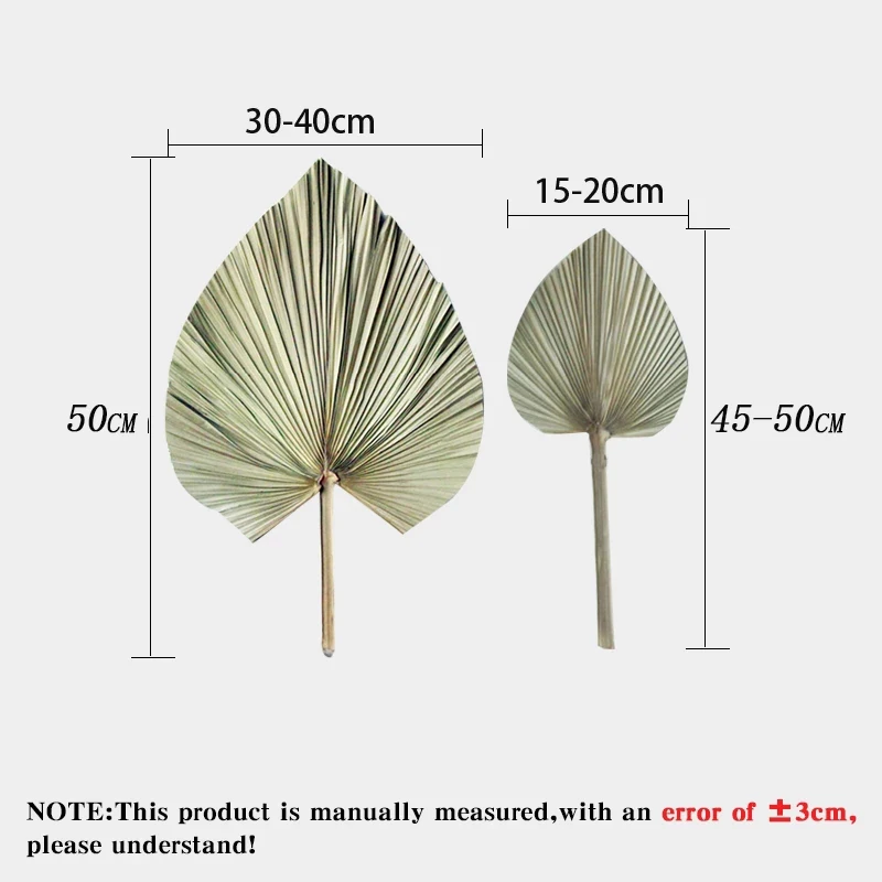 Palm Fan Leaf Dried Flower Palm Leaf Window Reception Party Art Wall Hanging Decoration Wedding Arch Arrangement
Palm Fan Leaf Dried Flower Palm Leaf Window Reception Party Art Wall Hanging Decoration Wedding Arch Arrangement