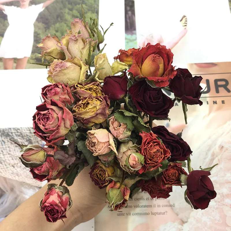 Multi-Head Rose Dried Flower Bouquet Ins Bouquet Decoration Real Flower Natural Air Drying DIY Handmade Epoxy Earrings
Multi-Head Rose Dried Flower Bouquet Ins Bouquet Decoration Real Flower Natural Air Drying DIY Handmade Epoxy Earrings