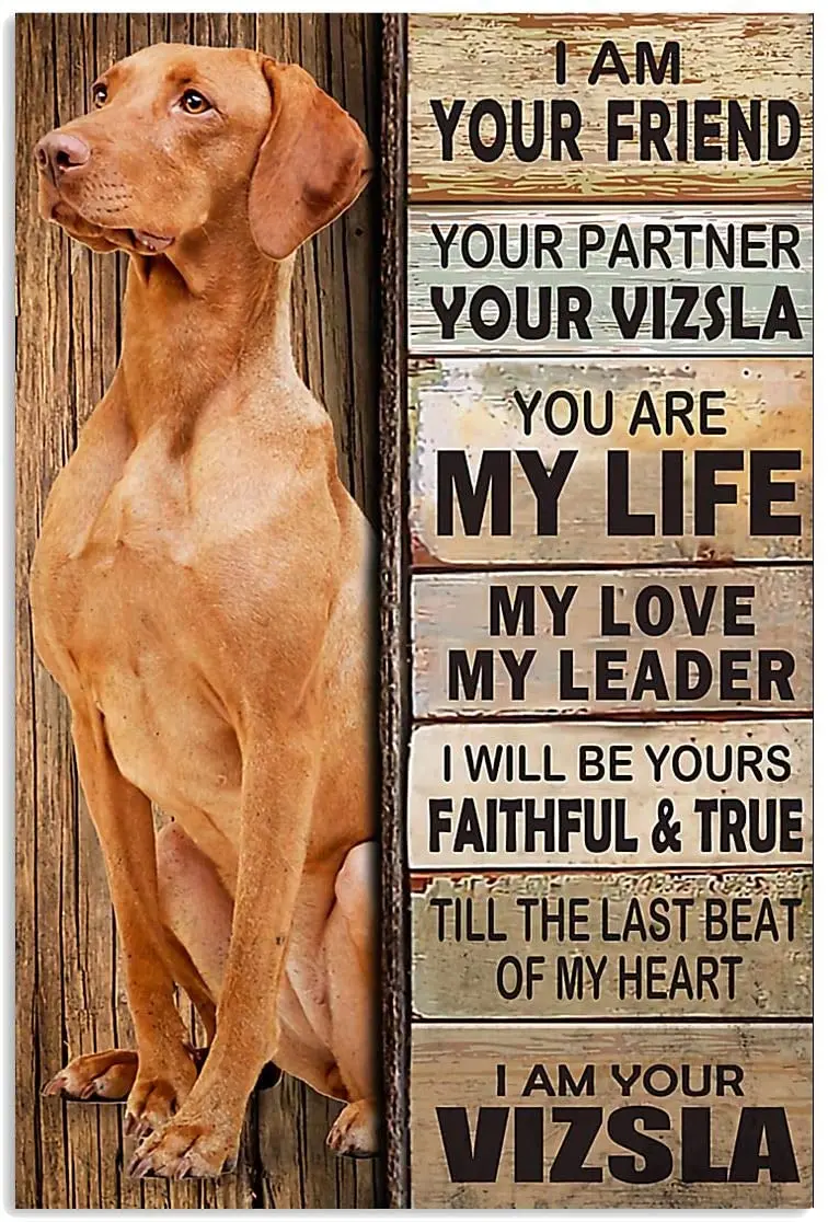 German Dachshund Bedroom Decoration Pet Dog Teckel Aesthetic Room Decor Decor for Kitchen Plates Home Decoration Modern Retro
German Dachshund Bedroom Decoration Pet Dog Teckel Aesthetic Room Decor Decor for Kitchen Plates Home Decoration Modern Retro