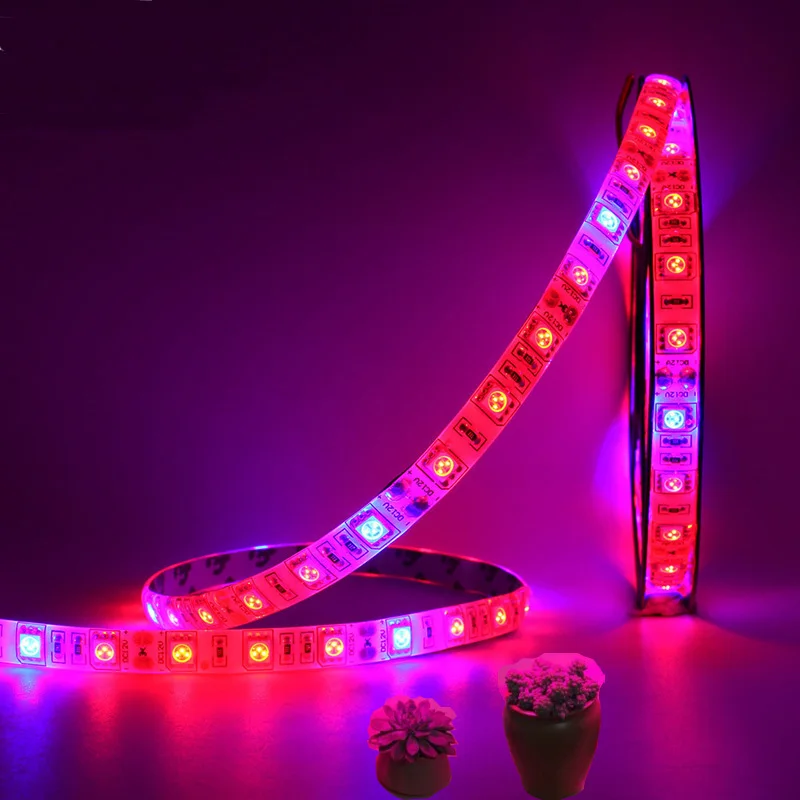 5M LED Phyto Lamps Full Spectrum LED Strip Light 300 LEDs 5050 Chip LED Grow Lights Lamp For Greenhouse Hydroponic plants growth
5M LED Phyto Lamps Full Spectrum LED Strip Light 300 LEDs 5050 Chip LED Grow Lights Lamp For Greenhouse Hydroponic plants growth