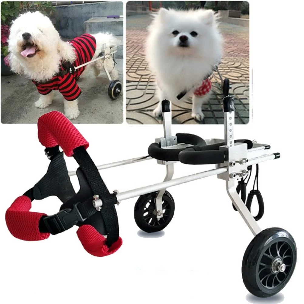 Pet Wheelchair Disabled Dog Walking Car Scooter Pet Dog Wheelchair Weakly Paralyzed Disability Hind Legs 2 Wheel Dog Wheelchair
Pet Wheelchair Disabled Dog Walking Car Scooter Pet Dog Wheelchair Weakly Paralyzed Disability Hind Legs 2 Wheel Dog Wheelchair