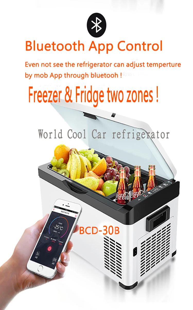30L AC DC12V24V портативный компрессор для пикника кемпинга путешествий домашнего