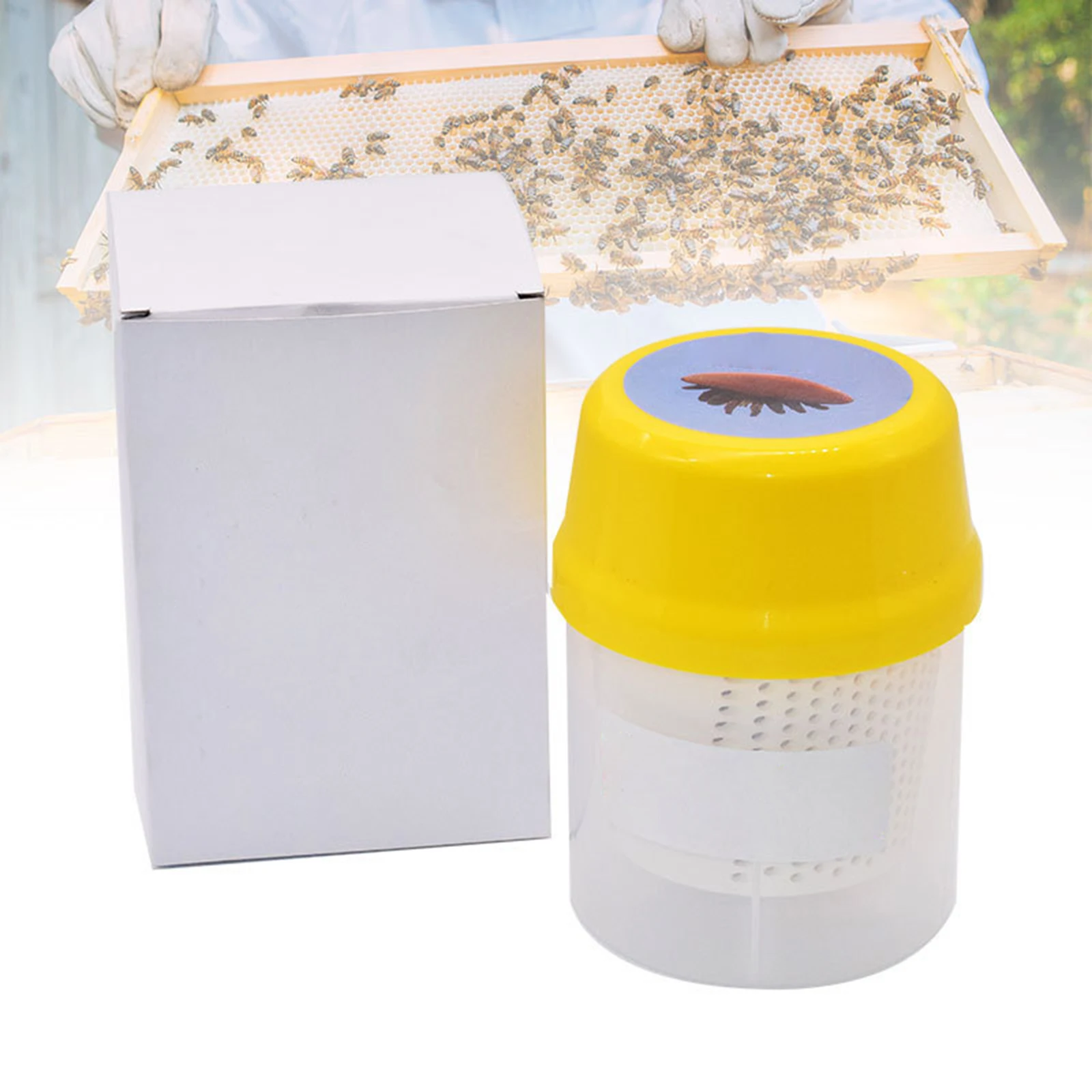 Clear Plastic Varroa Shaker Counting Killer Monitoring Bottle Beekeeper Beehive Bees Beekeeping Equipment Tool
Clear Plastic Varroa Shaker Counting Killer Monitoring Bottle Beekeeper Beehive Bees Beekeeping Equipment Tool