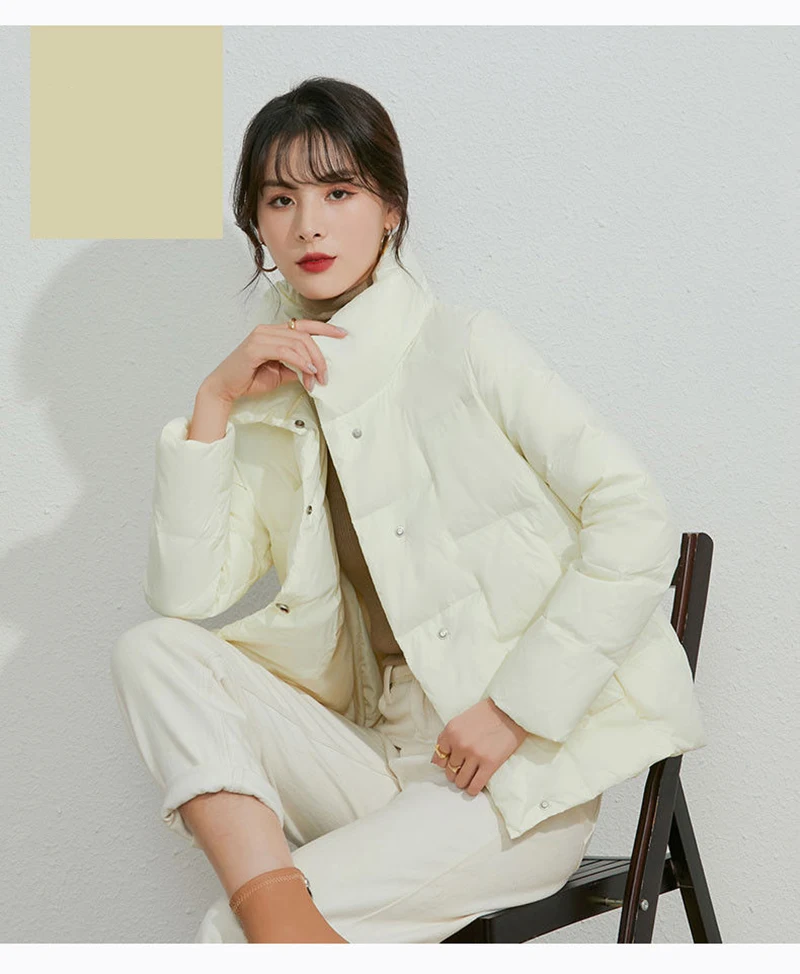 2021 New Stand-up Collar Lightweight Down Jacket Women White Duck Down Fashion Parkas Women Hooded Jacket For Winter
2021 New Stand-up Collar Lightweight Down Jacket Women White Duck Down Fashion Parkas Women Hooded Jacket For Winter