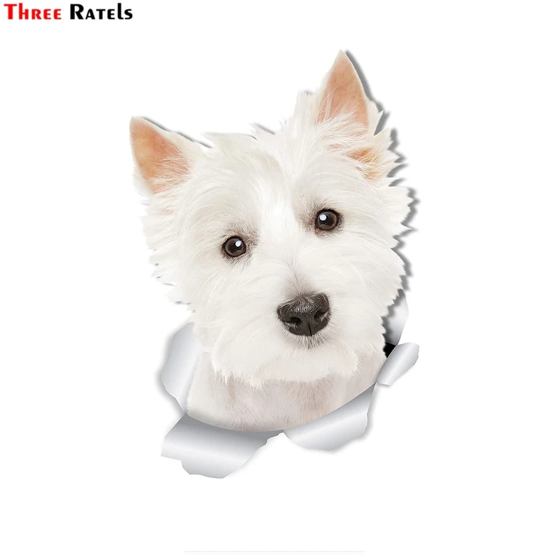 Three Ratels FTC-1098 3D Cute Westie Dog Sticker for Car West Highland White Terrier Dog Decal Toilet Refrigerator Wall Sticker
Three Ratels FTC-1098 3D Cute Westie Dog Sticker for Car West Highland White Terrier Dog Decal Toilet Refrigerator Wall Sticker