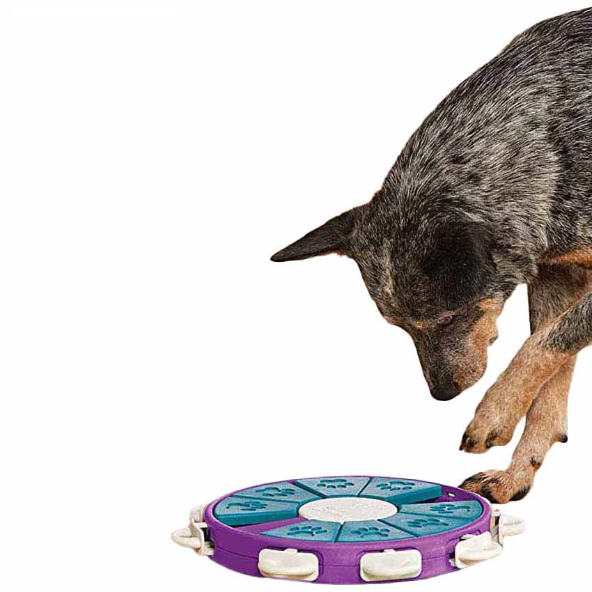 Interactive Dog Puzzle Toys Foraging Food Slow Feeder Dispensing Increase IQ Digestion Product Pet Training Educational Toy
Interactive Dog Puzzle Toys Foraging Food Slow Feeder Dispensing Increase IQ Digestion Product Pet Training Educational Toy