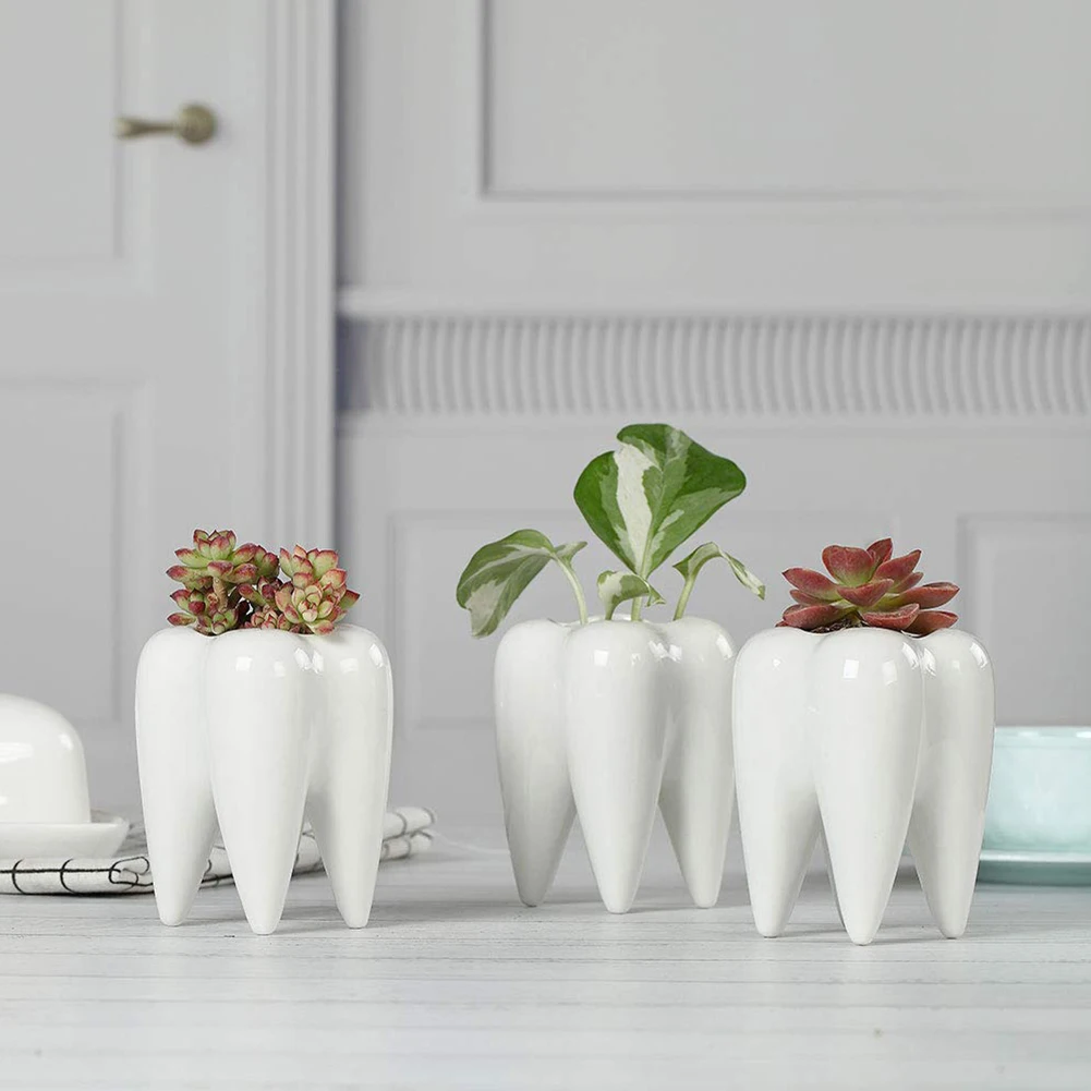 Garden Supplies Fleshy Ceramic Flower Pots Household Groceries White Mini Fake Flower Non-porous Small Home Decor Plant Pot Gift
Garden Supplies Fleshy Ceramic Flower Pots Household Groceries White Mini Fake Flower Non-porous Small Home Decor Plant Pot Gift