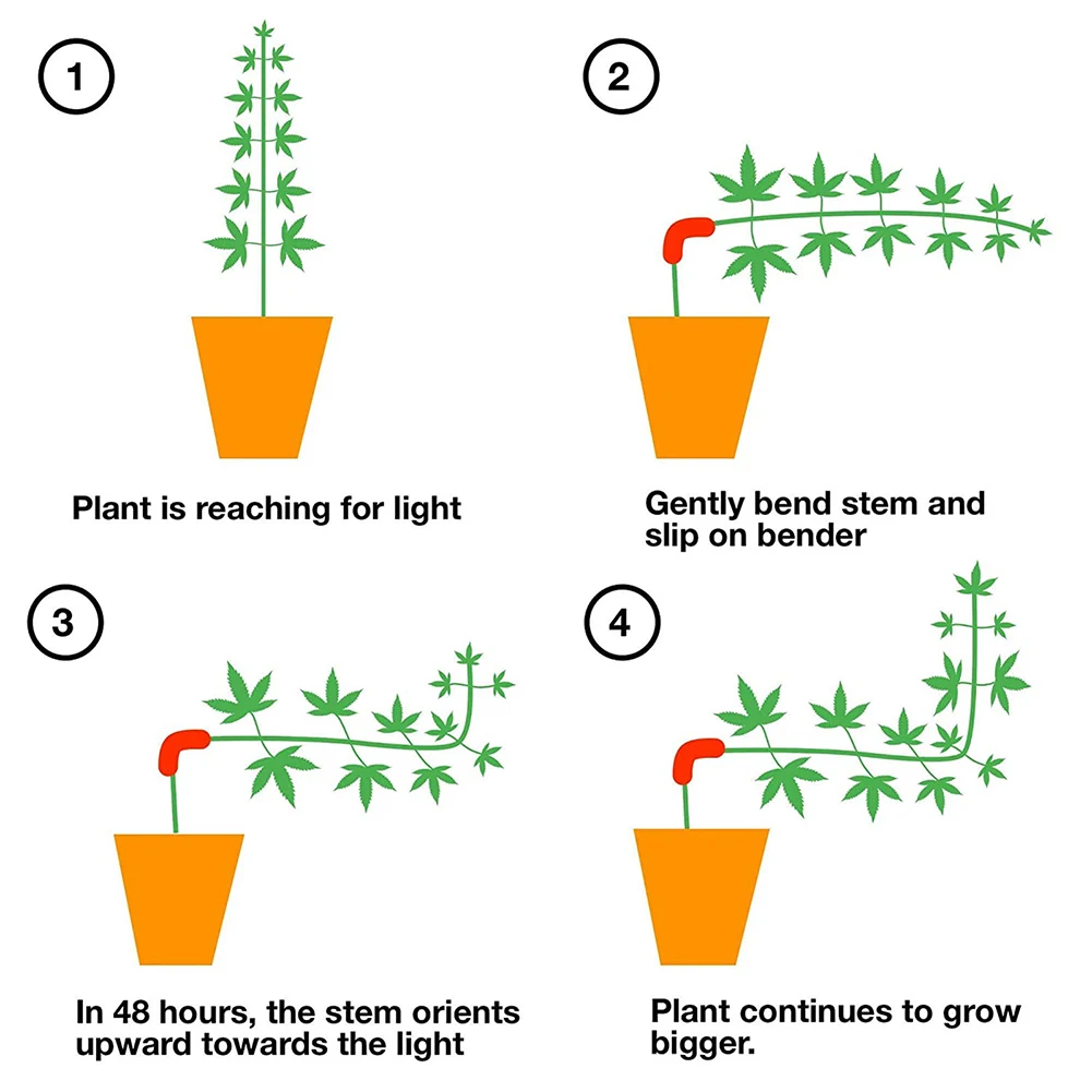 10/20/30 Pcs Bend The Plant Clips 90 Degree Plant Bender For Low Stress Training And Red Plants Training Curved Plant Holder
10/20/30 Pcs Bend The Plant Clips 90 Degree Plant Bender For Low Stress Training And Red Plants Training Curved Plant Holder