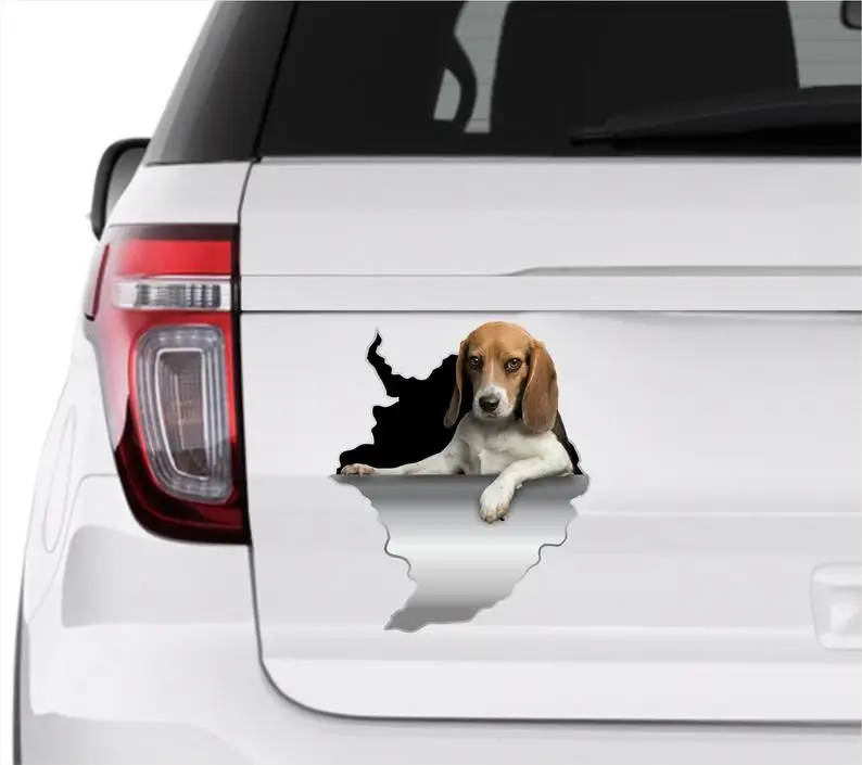 Dog sticker Car decor Car sticker Beagle sticker Beagle decal Beagle Beagle decor Auto sticker beagle
Dog sticker Car decor Car sticker Beagle sticker Beagle decal Beagle Beagle decor Auto sticker beagle